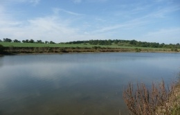 Carpodrome du Bordage