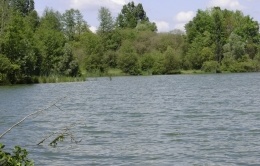 Plan d'eau de la Courbe