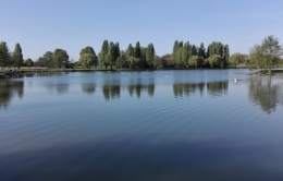Plan d'eau