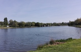 Plan d'eau