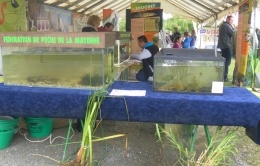 Découverte du milieu aquatique