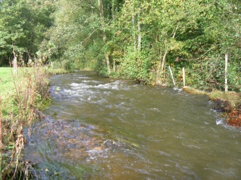 Le Teilleul