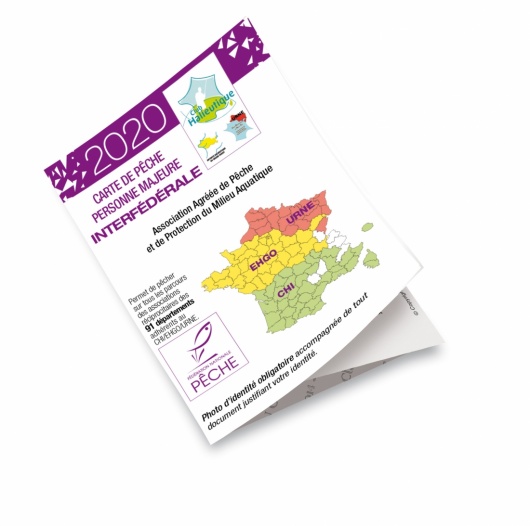 Interf&eacute;d&eacute;rale