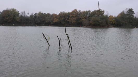 Cage immerg&eacute;e mat&eacute;rialis&eacute;e par des pieux de saule