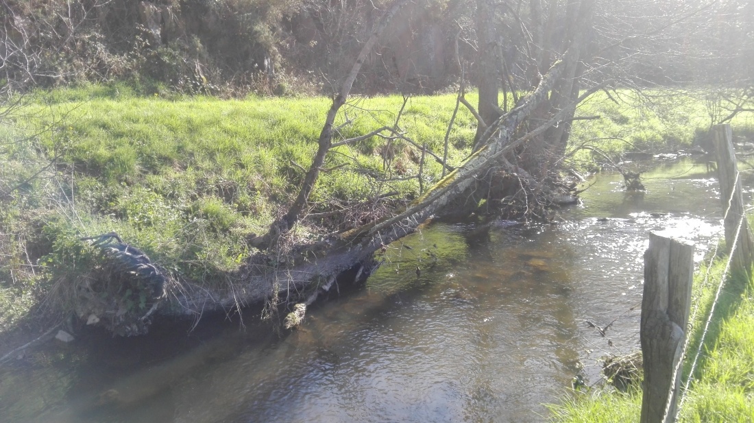 Emb&acirc;cle &agrave; conserver