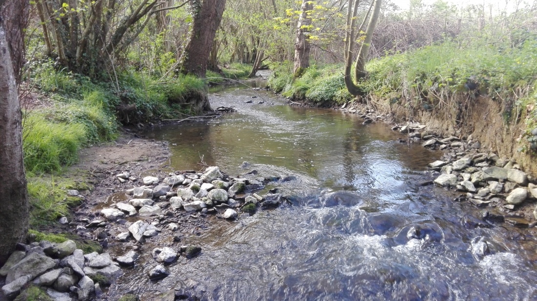 Ecoulements diversifi&eacute;s sur la rivi&egrave;re la Mayenne