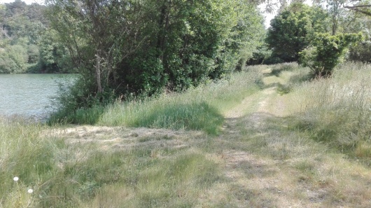 Fauche des accès pêches et chemins site de la Courbe