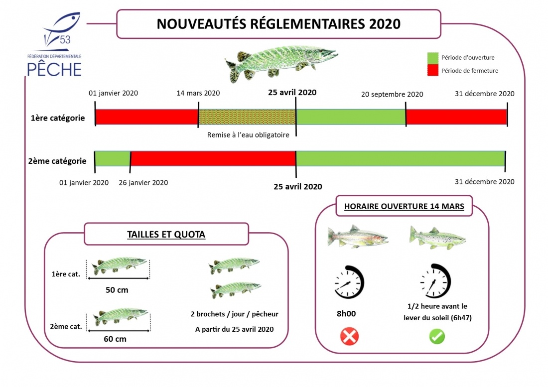 Nouveautés réglementaires 2020