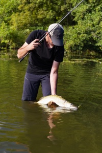 Lib&eacute;r&eacute;...d&eacute;livr&eacute;...
