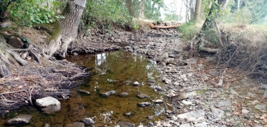 Rivière Mayenne - été 2022