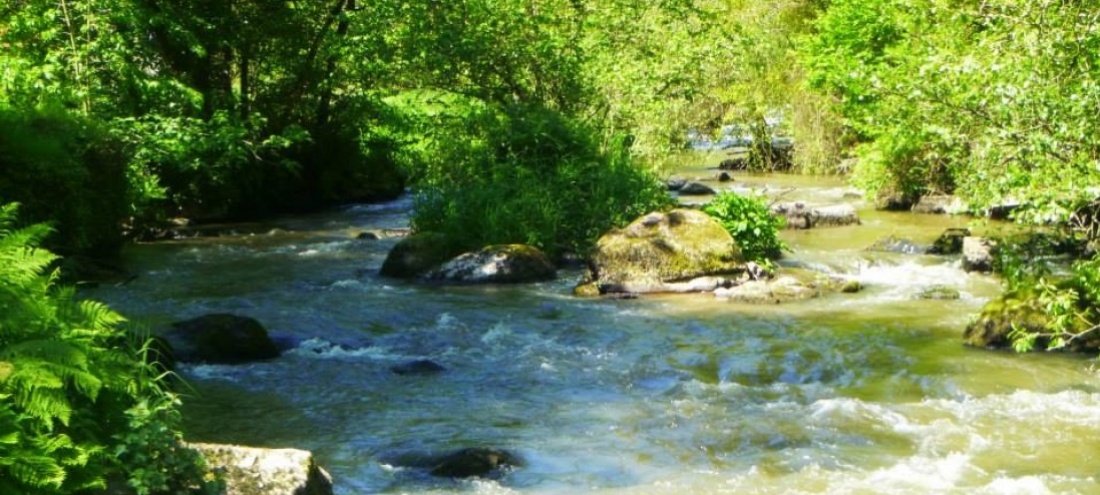 La Colmont