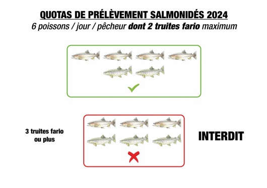 Nouveau quota de prélèvement des salmonidés