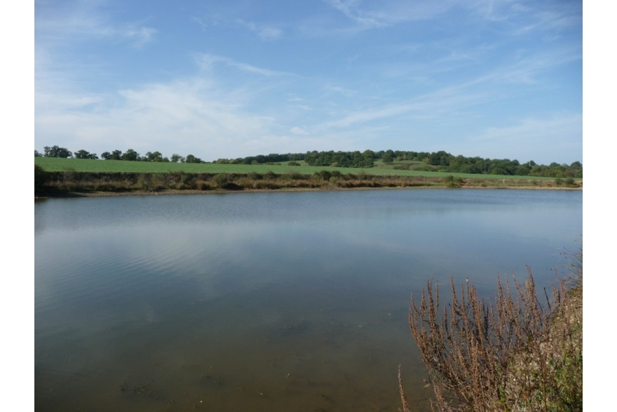 Carpodrome du Bordage