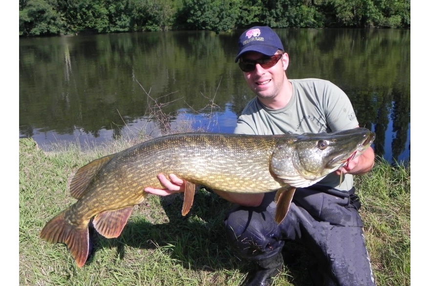 Brochet 115cm